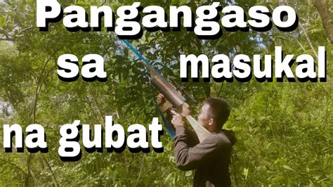 Hinawi Ang Masukal na Gubat Upang Makita Ang Langit.
